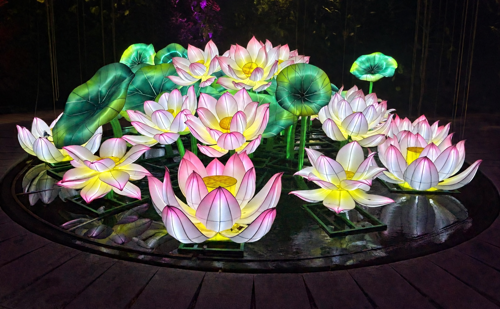 Illuminated lotus lanterns at Lights by the Lake in the Japanese Garden, Singapore